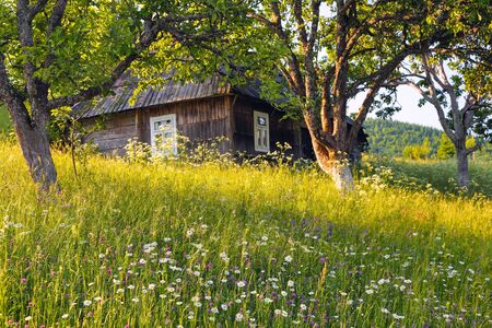 An old wooden house. Majestic spring sunny landscape. Garden with fruit trees, flowers, forest. Eco resort, relax for tourists. Location the Carpathian Mountains, Ukraine, Europe.の写真素材