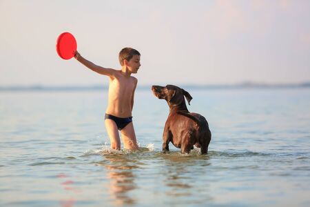 Beautiful sunny summer scenery. On the day the small boy is playing, running jumping with the hunting brown dog at the lake. Happy childhood moments. The silhouette is reflecting on the water.の写真素材