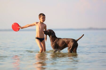 A boy runs with the dog in the lake, splashing the water around. Playful, happy childhood moments....
