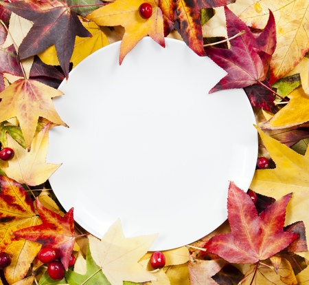 White plate with autumn leaves の写真素材