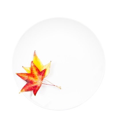 White plate with autumn leaves の写真素材