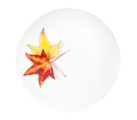 White plate with autumn leaves の写真素材
