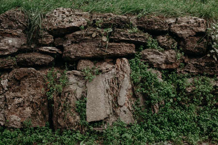 Close up view of stone wall and green plants with moss growing through stones