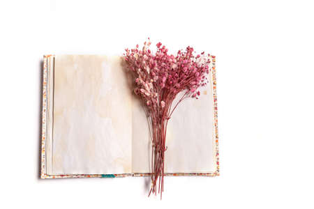 a bouquet of dry pink flowers lie in an old vintage notebookの写真素材