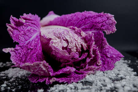 purple chinese cabbage on black background