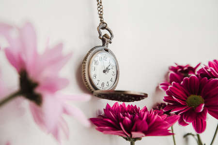 old round vintage watch on a chain among flowers in the interiorの写真素材
