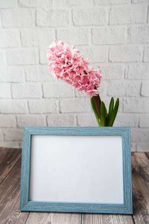 pink hyacinth flower and picture frame on a brick background. High quality photoの写真素材