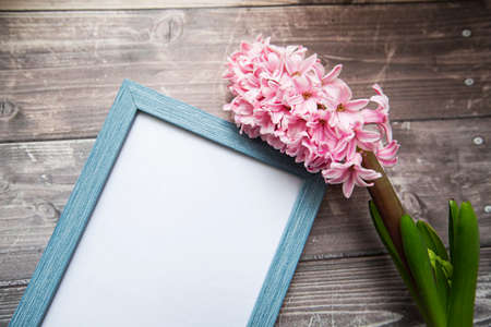 pink hyacinth flower and picture frame on wooden background . High quality photoの写真素材