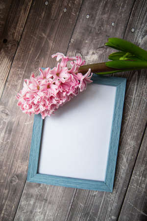 pink hyacinth flower and picture frame on wooden background . High quality photoの写真素材