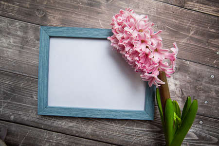 pink hyacinth flower and picture frame on wooden background . High quality photoの写真素材