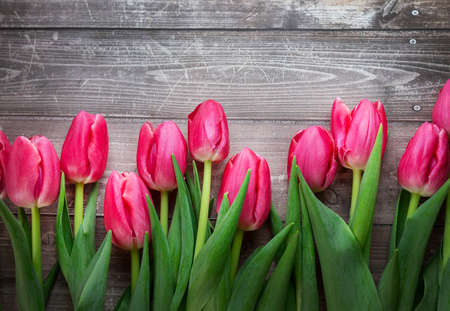 Spring tulips flowers on a old wooden background. High quality photoの写真素材