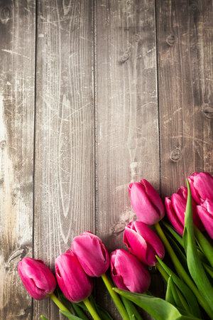 Spring tulips flowers on a old wooden background. High quality photoの写真素材