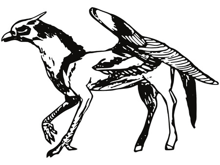 Made by hand illustration of a series of mythical creatures, griffinのイラスト素材