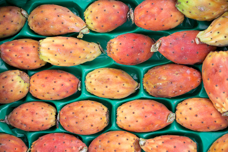 Prickly pear cactus fruits called also Opuntia, ficus-indica, Indian fig opuntia, barbary fig, tuna in a box for sale on the greek market. Fruits of prickly pear cactus on a market. Horizontal. Close.の写真素材