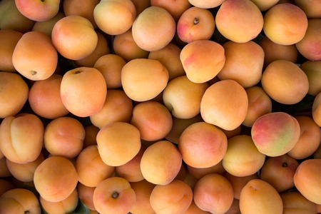 Fresh apricots on the counter for sale in a grocery shop. Apricots background. Horizontal. Top view.の写真素材