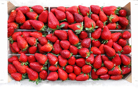 Top view on a rows of packages of juicy strawberries for sale on the greek market.の写真素材
