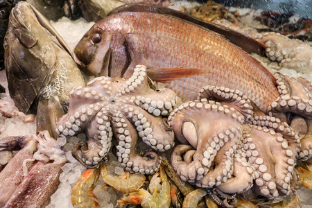 Octopus for sale in the greek fish market.の写真素材