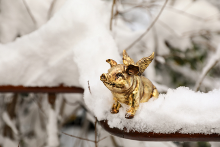 Golden piggy statuette in the snow as a symbol of 2019, concept photo. Horizontal. Close-up.の写真素材