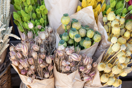 Variety of natural plant dried flowers home decoration eternal flower bouquets of poppy headsの写真素材