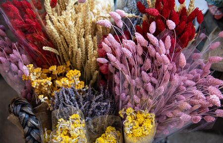 Variety of natural plant dried flowers home decorative eternal flower bouquets of floral grass multicolored gems, lavender, tansy, wheat spikelets at the greek flowers shop in November.の写真素材