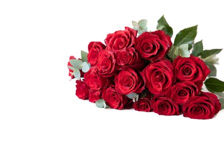 Beautiful bouquet of red roses isolated on the white background with copy space. Horizontal. Close-up.の写真素材
