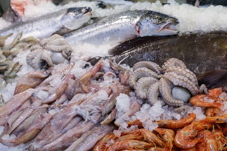 Fresh raw European squids Loligo vulgaris, salmon fishes, striped prawns, depp-water rose shrimps,...