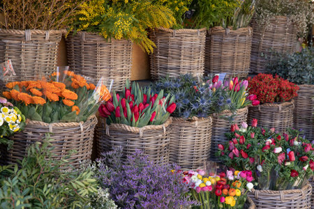 Variety of beautiful spring flowering plants at the greek garden shop in spring.の写真素材