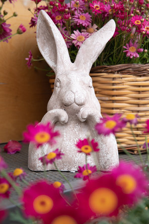 Decorative rabbit figurine and Dimorphoteca or African daisies around - Easter preparation.の写真素材