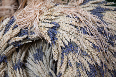 Beautiful door wreath made of dry lavender flowers and ears of wheat.の写真素材