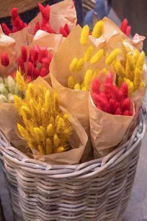 Dry ornamental grass Lagurus Ovatus or bunny tail bouquets at flower shop.