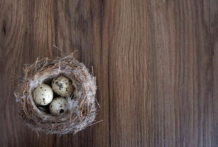 Springtime Easter nest with eggsの写真素材