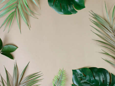 tropical palm leaves background copy space . Flat lay, nature concept, mockupの写真素材
