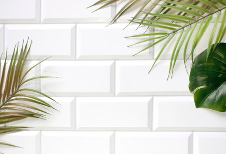 tropical palm leaves background copy space . Flat lay, nature concept, mockup