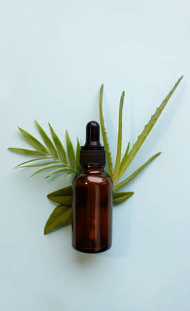 Flat lay of cosmetics serum and and laboratory glassware with fresh leaves of aloe vera on bright green background. Organic cosmetics. Top view flat lay, copy space. Cosmetics, SPA branding, mock-up.の写真素材