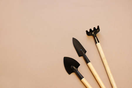 garden and horticulture banner with copy space. seedling, watering can and gardening tools on background. Garden and floristics flat lay borderの写真素材