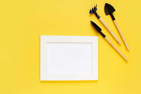 gardening tools and houseplant on color background. frame for mock up. copy space.の写真素材
