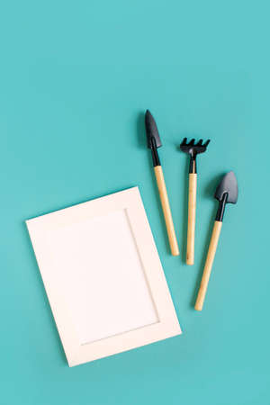 gardening tools and houseplant on color background. frame for mock up. copy space.の写真素材