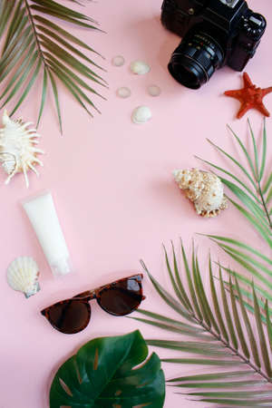 Traveler accessories, tropical palm leaf branches on background with empty space for text. Travel...