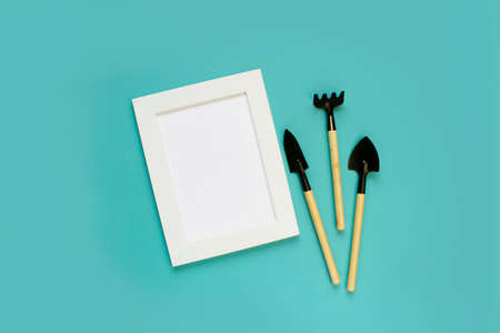 gardening tools and houseplant on color background. frame for mock up. copy space.