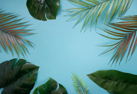 Creative layout made of colorful tropical leaves on background. summer exotic concept with copy space. Border arrangement.の写真素材