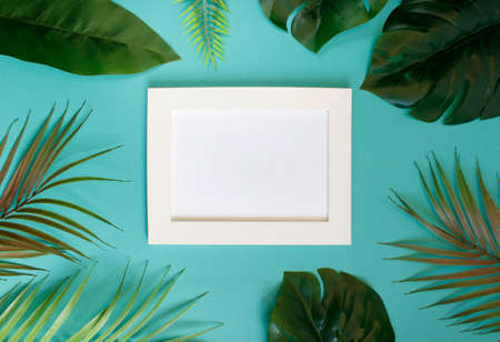 Creative layout made of colorful tropical leaves on background. summer exotic concept with copy...
