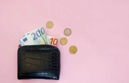 wallet and euro money. business, finance, saving, banking concept. copy space. background for economic news.の写真素材