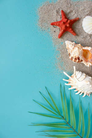 Summer composition. tropical palm leaves, seashells on blue background. Summer concept. Flat lay,...