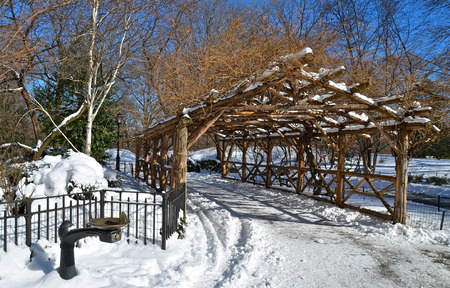 New York City Central Park alley in winter  Manhattan  NYC  のeditorial素材
