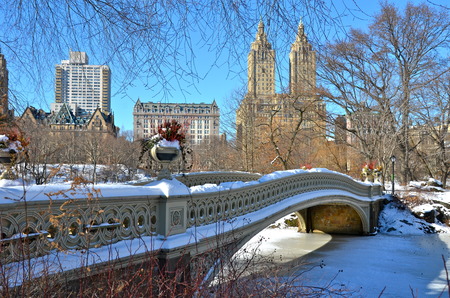 Central Park, New York City bow bridge in the winter, New York  の写真素材