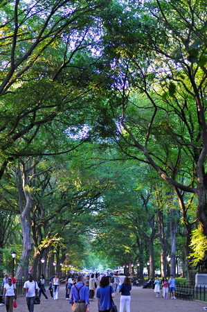 NEW YORK CITY - JUNE 13, 2008: Central Park in the summer, New York City, USA.のeditorial素材