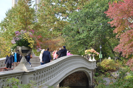 Central Park in the autumn. Manhattan, New York, USA.のeditorial素材