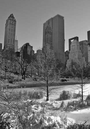 Central Park in the winter, Manhattan, New York City, USA.の写真素材