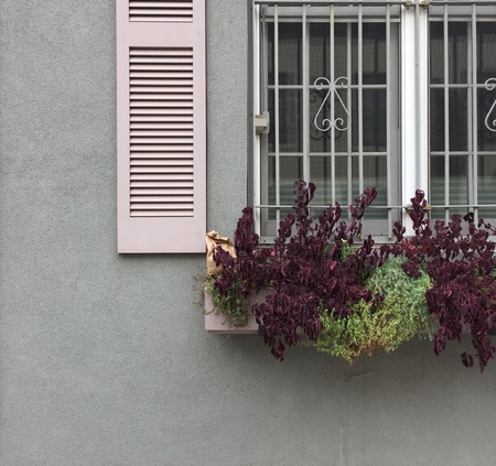 New York City street view, USAの写真素材