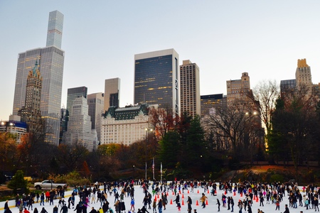 Central Park in the winter, New York Cityのeditorial素材